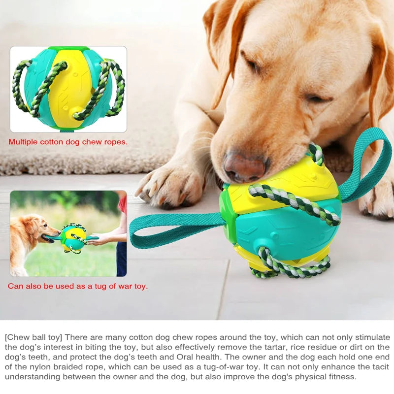 UFO Multi-Functional Rubber Dog Toy